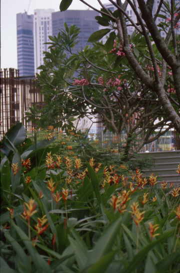 �berall wird gebaut<Br>und �berall sind ordentliche Blumenrabatten