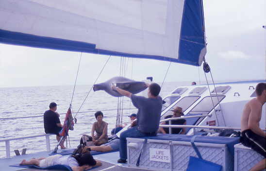 Trocknen der Tauchshirts