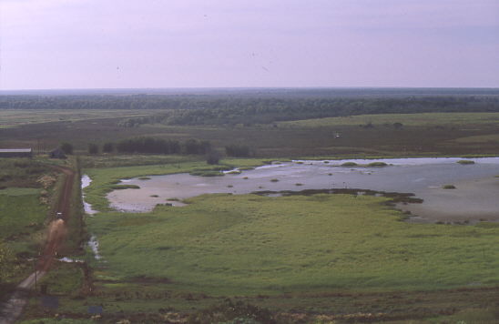 Window of the Wetlands - Zufahrt