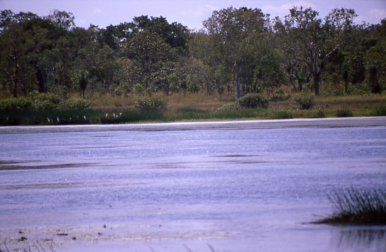 leider nur wenige V�gel