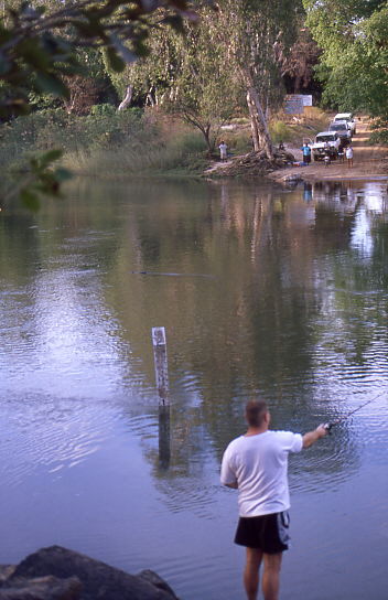 Krokodil in Furt (90cm tief)