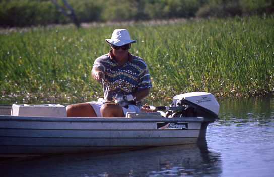 der Fisch ist zu klein (nur ca. 50cm)