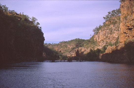 die B�ume im Flu� wachsen auf der n�chsten Barriere