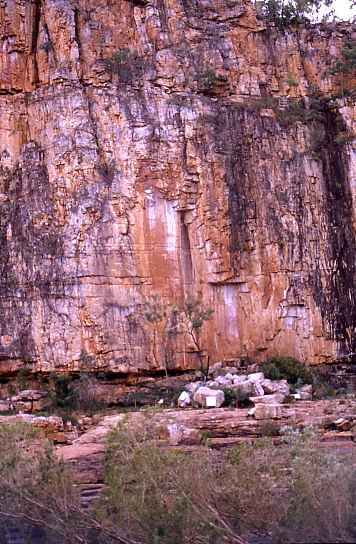 auf der gegen�berligenden Seite waren auch Zeichnungen der Aboriginies