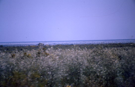 Lake Woods, der See f�hrte zum erstenmal seit 6 Jahren wieder Wasser