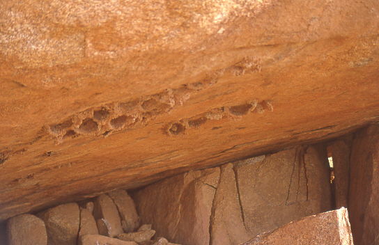 Devil Marbles - Tierbauten auf Unterseite