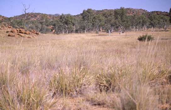 alter Versammlungsplatz der Aborigines
