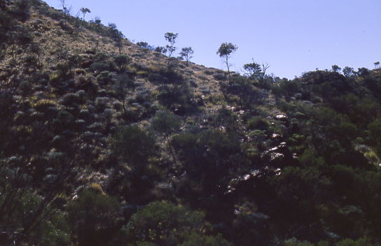 Steine gl�nzen im Gegenlicht
