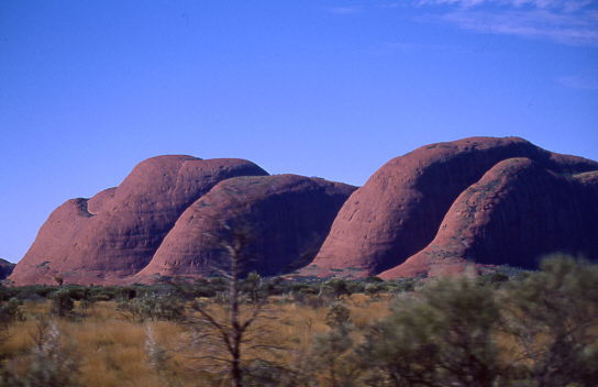 Olgas