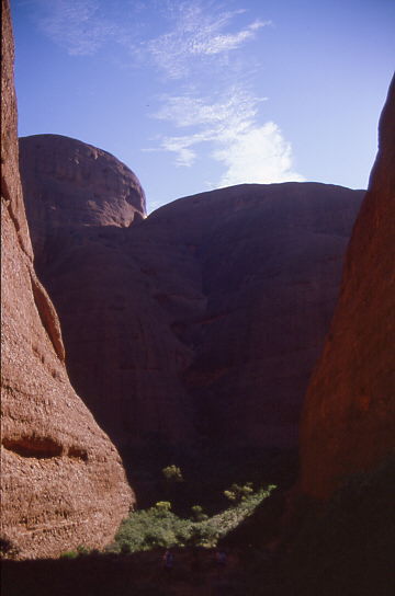 Olgas - die klein B�schchen im Tal sind ausgewachsene B�ume