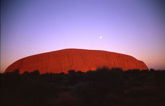 Uluru Sonnenaufgang 4