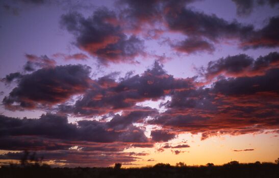 Uluru Sonnenuntergang - Gegenlicht