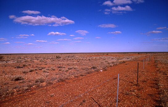 Zaun an Stra�e - 1&nbsp;km� Land kostet 5&nbsp;AUS$